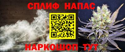 амф Новодвинск