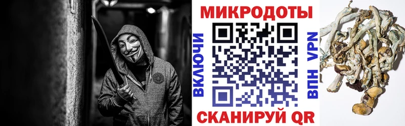 даркнет официальный сайт  Фрязино  Псилоцибиновые грибы мухоморы 