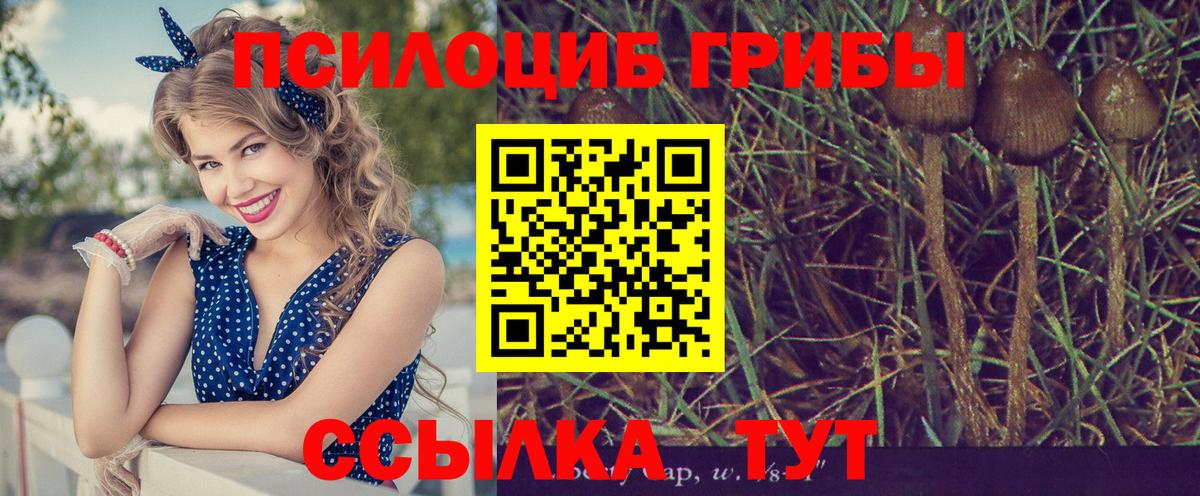 Экстази  Вход с VPN  Где купить наркотики?  Мефедрон кристаллы  APVP СОЛЬ   Каннабис  КОКАИН  Фрязино  МДМА 