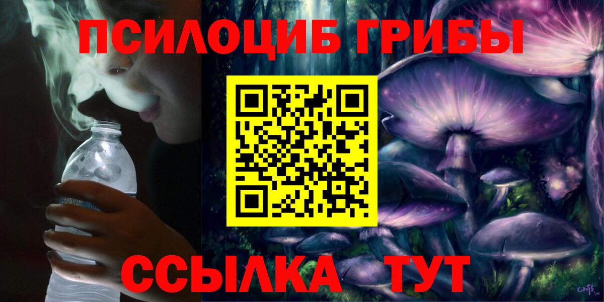 где найти наркотики  Псилоцибиновые грибы GOLDEN TEACHER  Вход с VPN  Галлюциногенные грибы мухоморы  Фрязино 